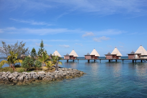 IMG_0938 (515x343)