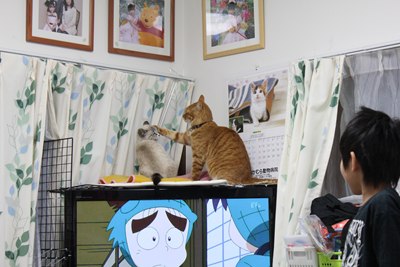 ていっ