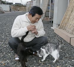 北國新聞　門前の仮設住宅の猫