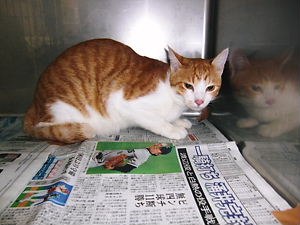 img_1741577_61585584_7.jpg