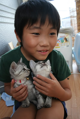 美幼女猫と玉太郎