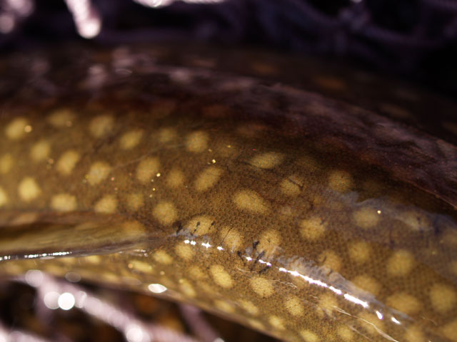P9123940.jpg