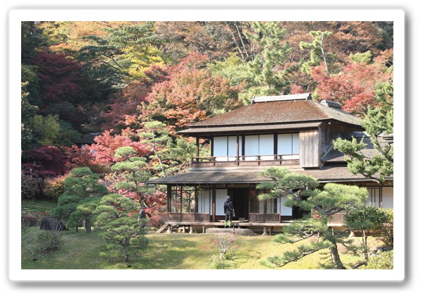 三溪園の紅葉