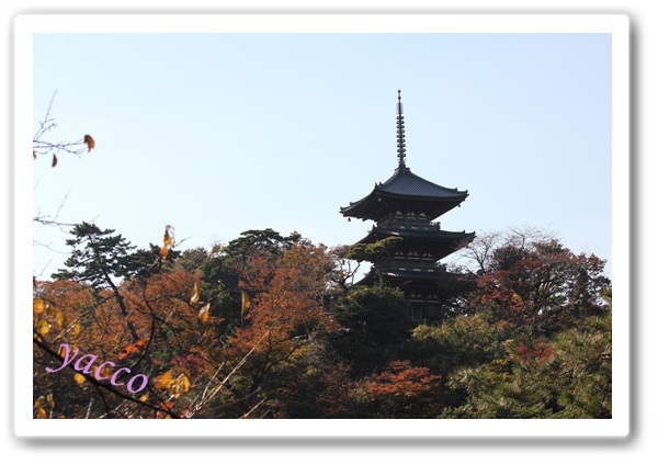 三溪園の紅葉2