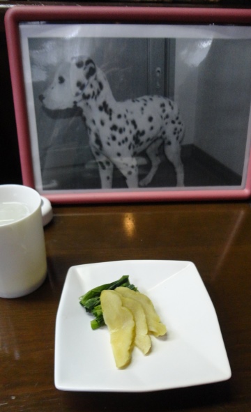 DSC01233.jpg