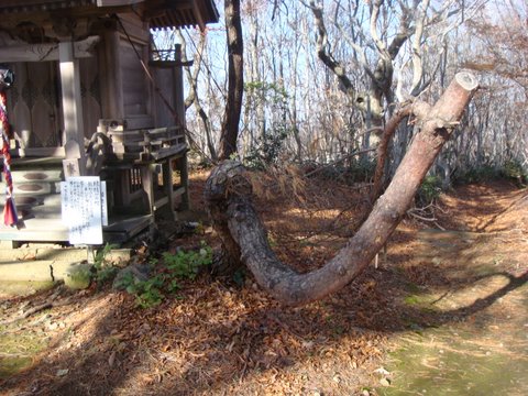 DSC04320.jpg