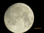 IMG_0286.jpg