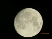 IMG_0287.jpg